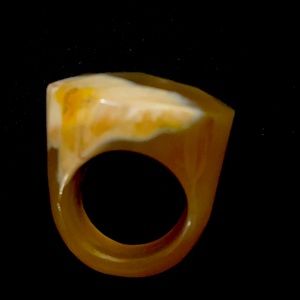 Petrified Wood Ring